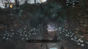 Bloodborne The Old Hunters Edition